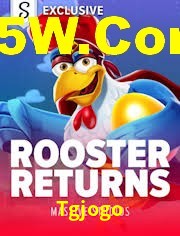 Game Statistics Tgjogo